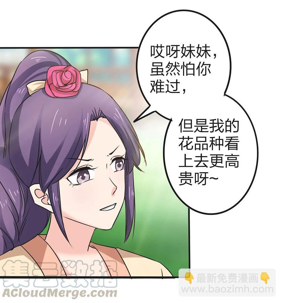 341 白蝴蝶