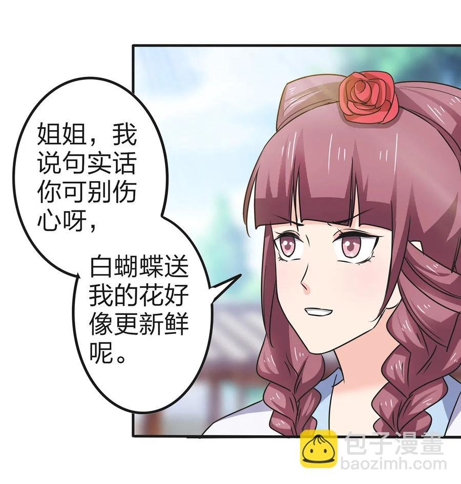 341 白蝴蝶