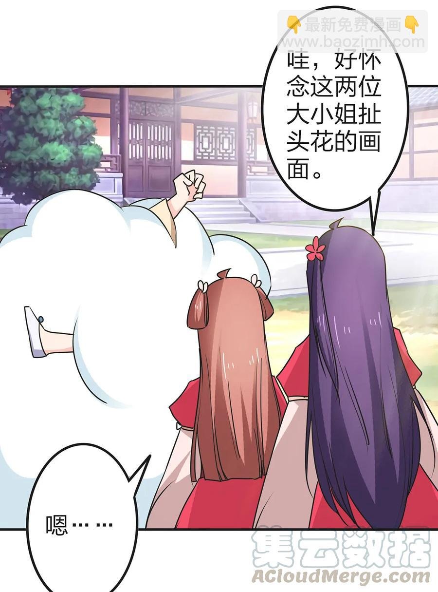 341 白蝴蝶