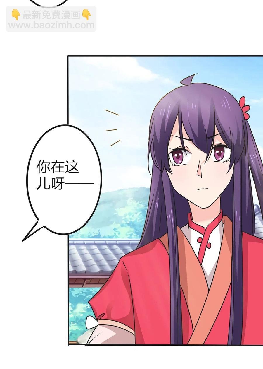 341 白蝴蝶