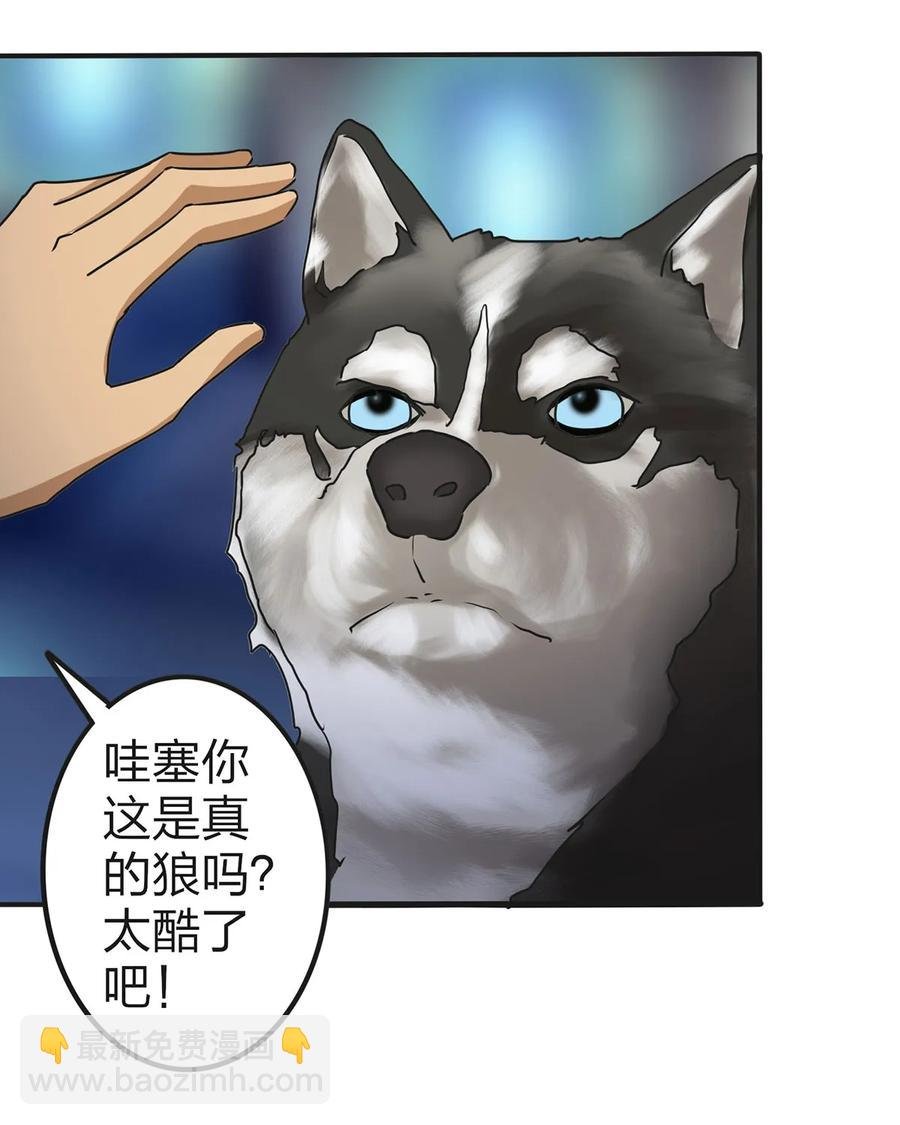 361 百鬼夜行