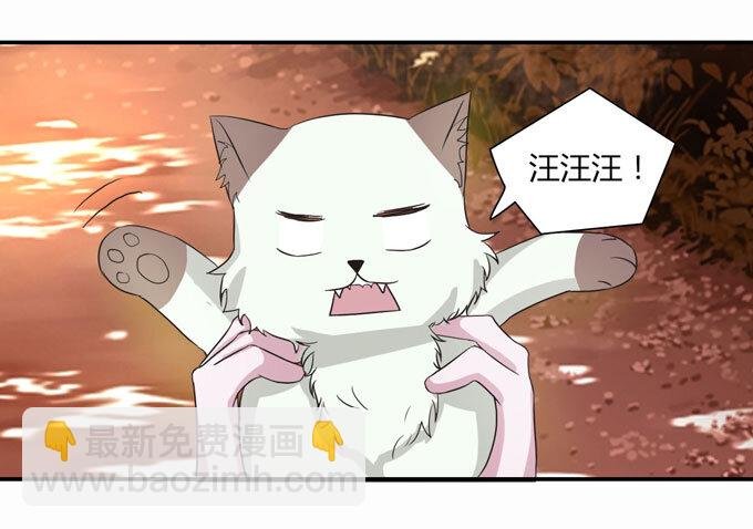 43 谎言