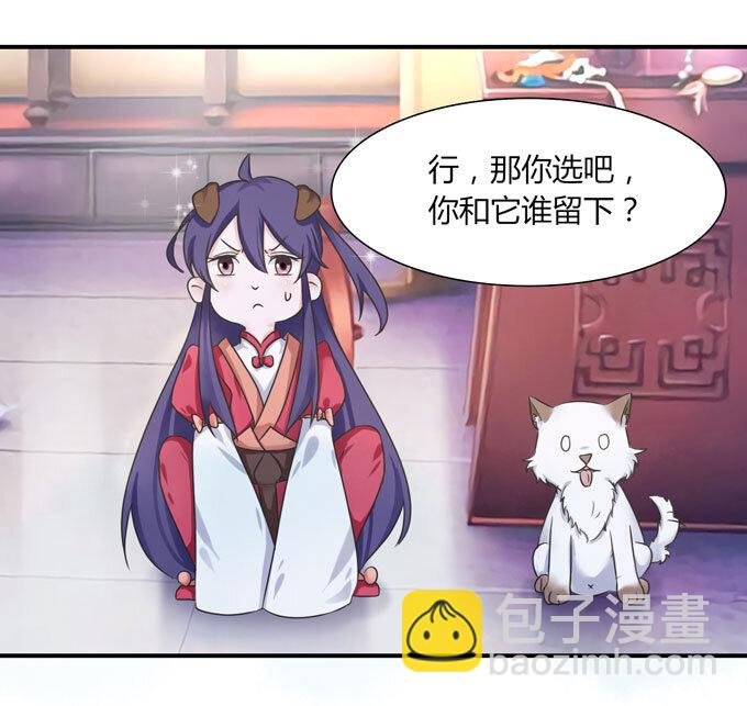 43 谎言