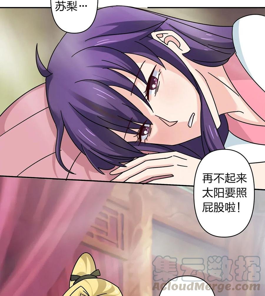 446 怀孕