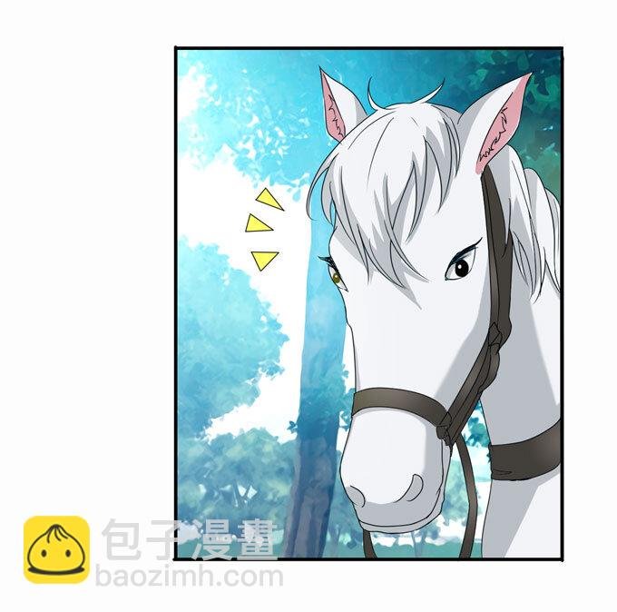 49 赛马