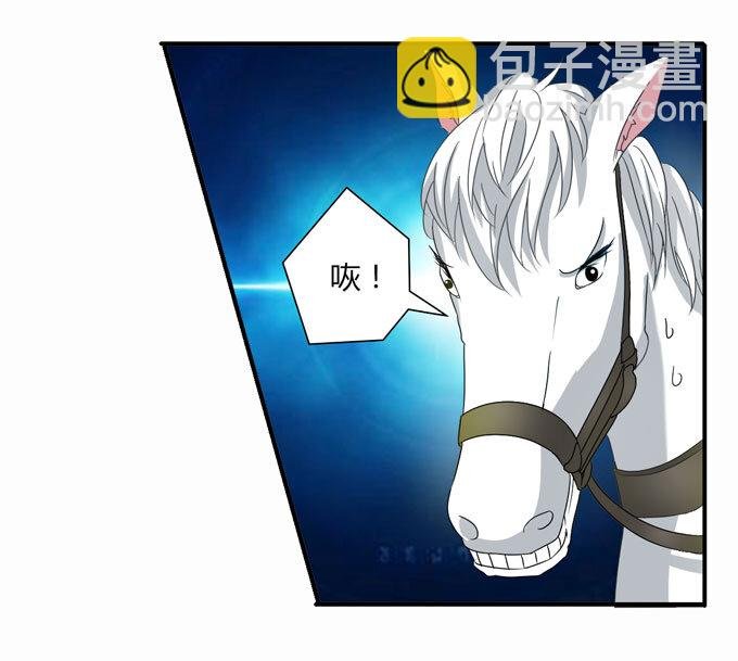 49 赛马