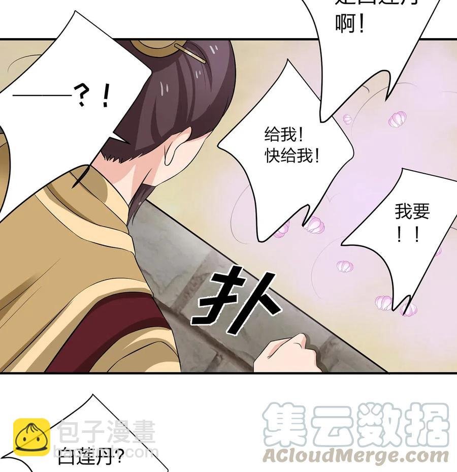 491 最终之战