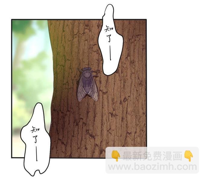73 解释