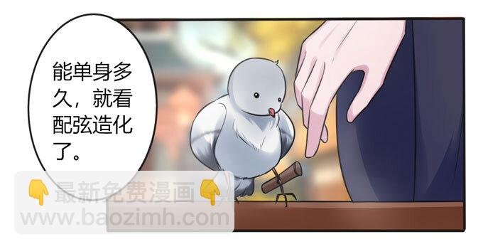 99 家务