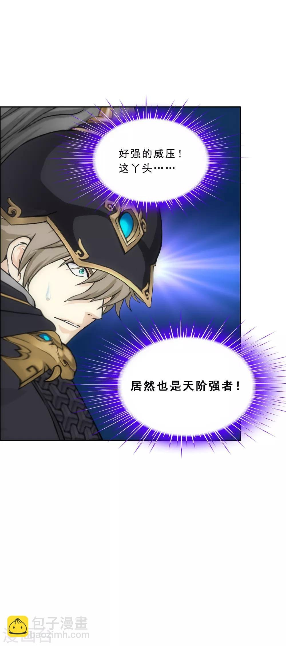 第238话 凌家的天阶强者