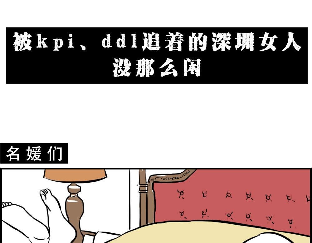 《深 圳 名 媛 图 鉴》