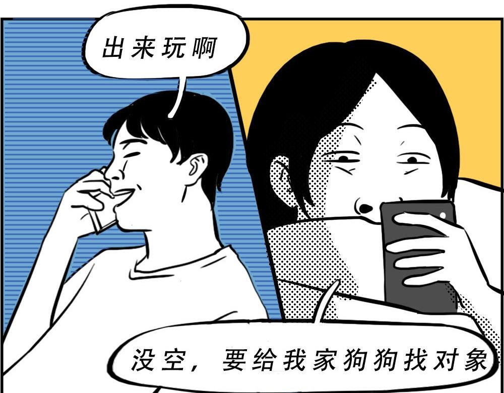 《深 圳 名 媛 图 鉴》