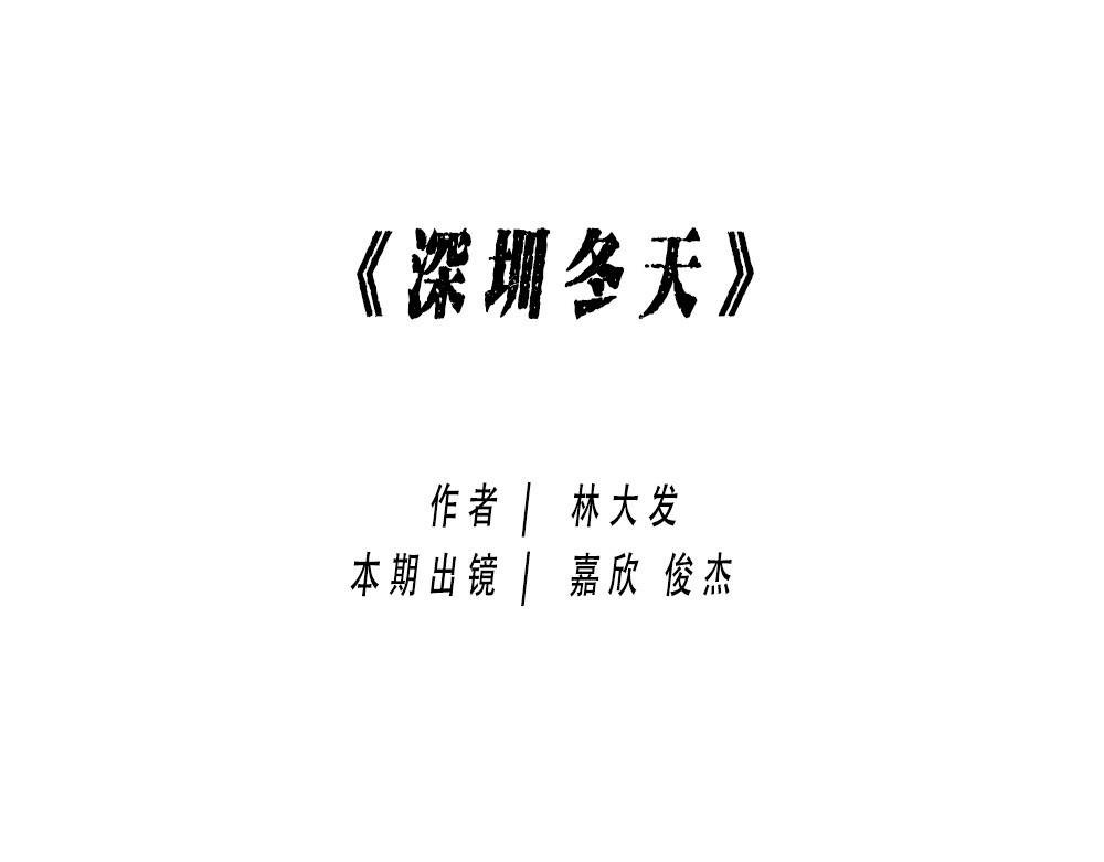 来深圳后，等待冬天就像等待爱情