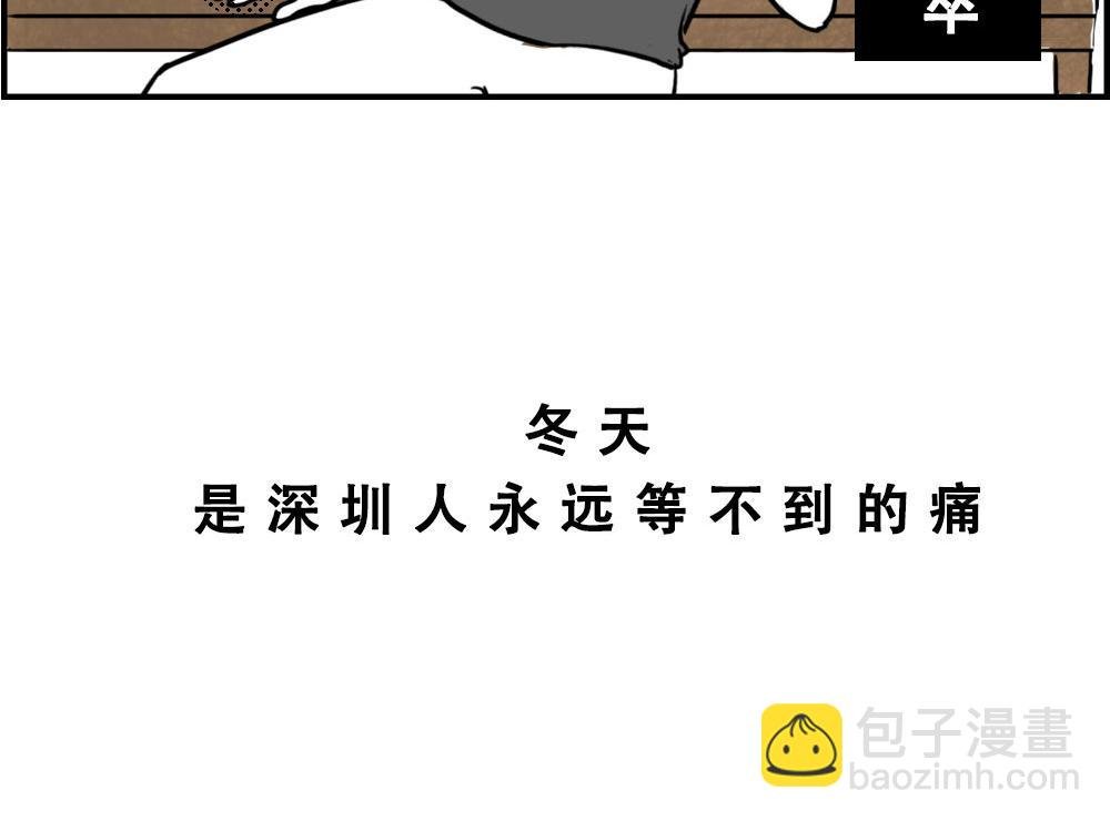 来深圳后，等待冬天就像等待爱情