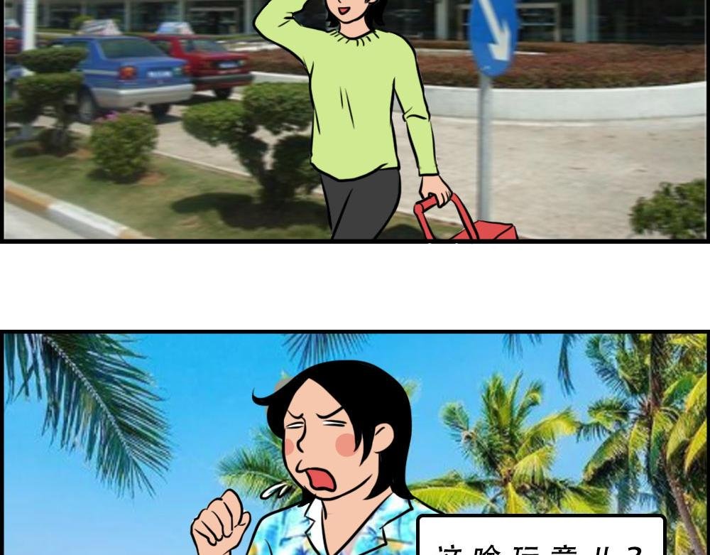 真正的深圳特产，来自海南？