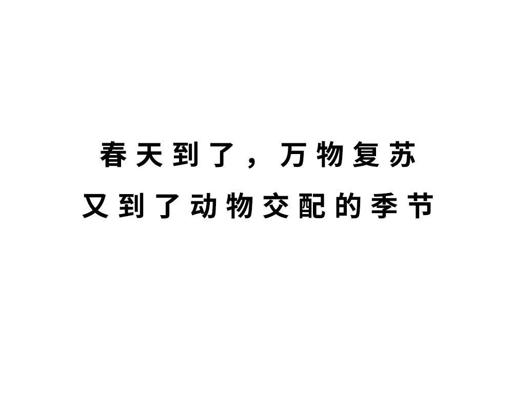 广东人的夜晚：啪啪啪啪啪啪啪啪