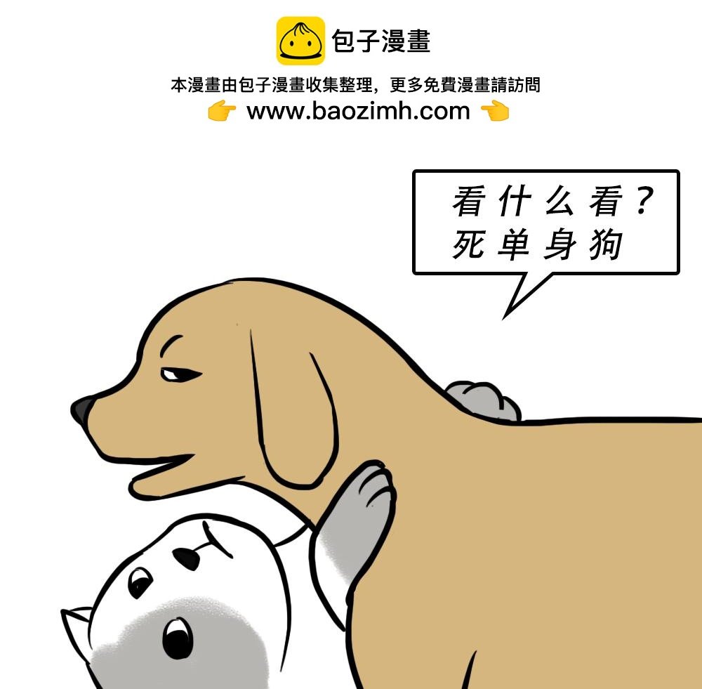 广东人的夜晚：啪啪啪啪啪啪啪啪