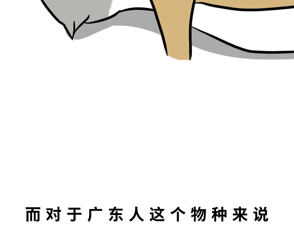 广东人的夜晚：啪啪啪啪啪啪啪啪