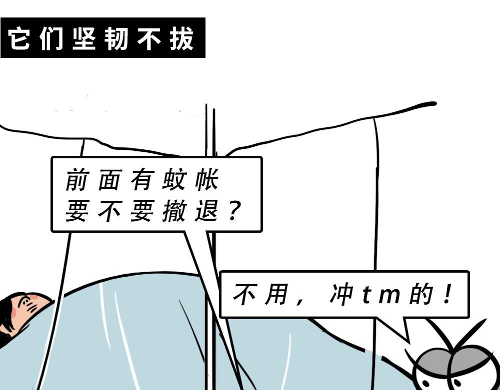 广东人的夜晚：啪啪啪啪啪啪啪啪