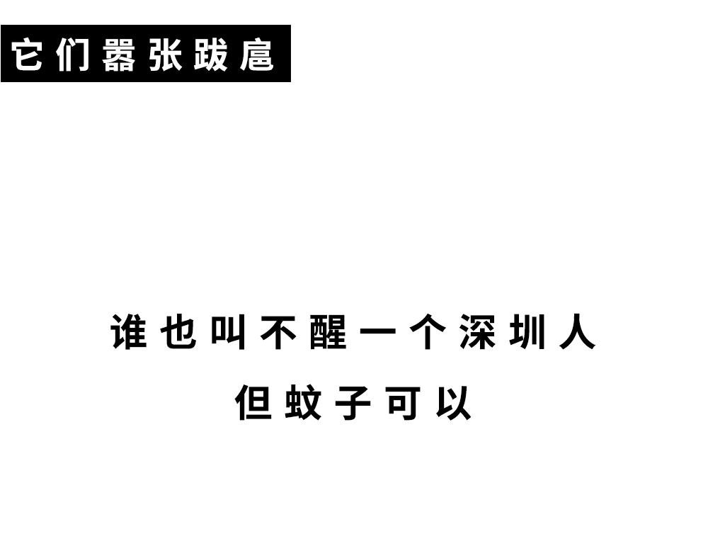 广东人的夜晚：啪啪啪啪啪啪啪啪