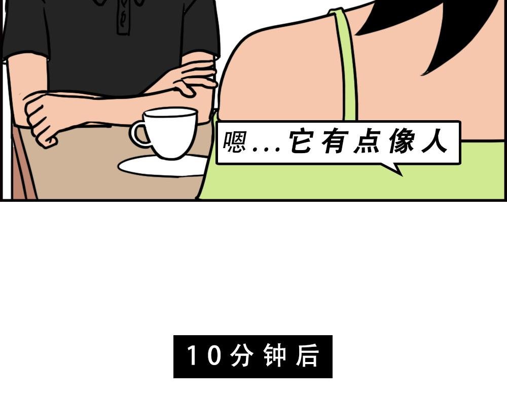 打死我都不去相亲了！