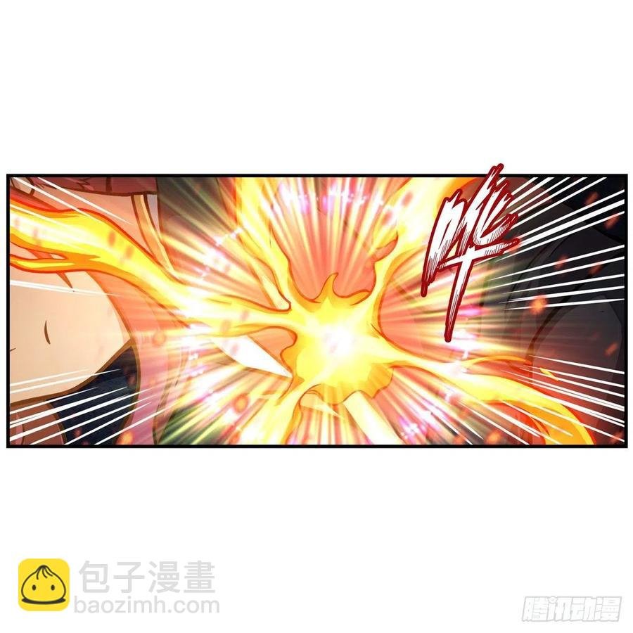 第204话 护身灵兽
