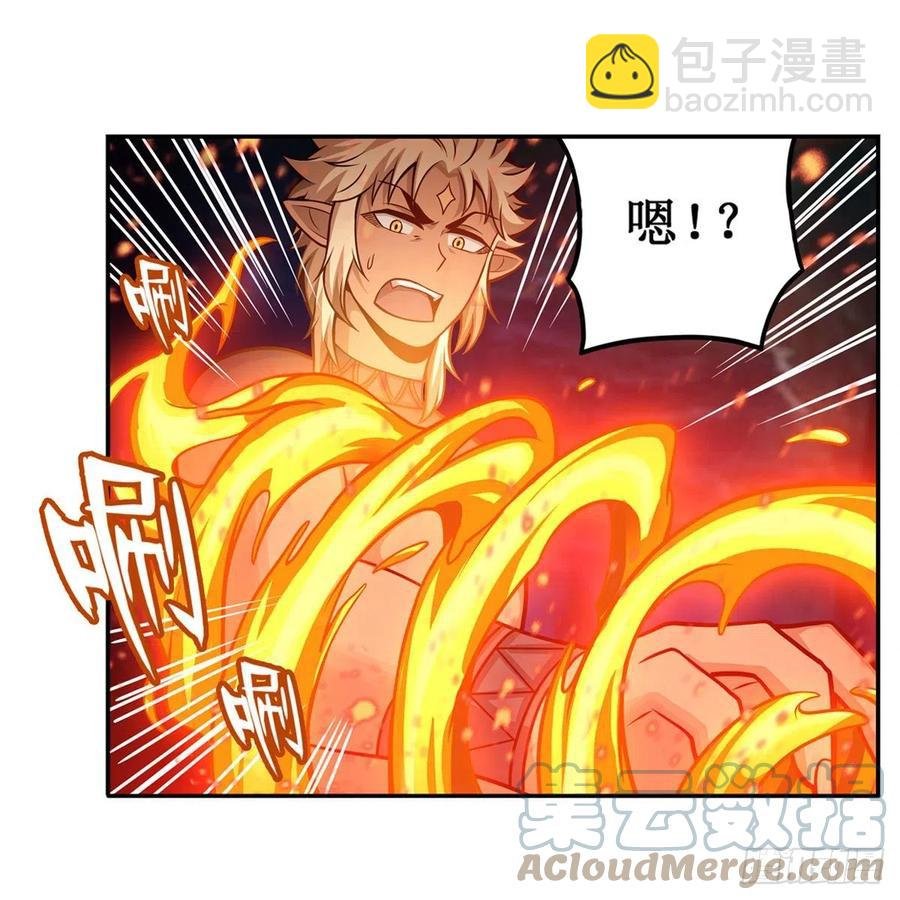第204话 护身灵兽
