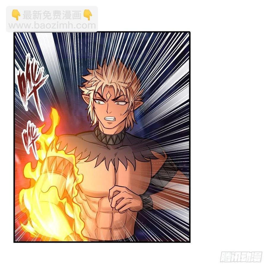 第204话 护身灵兽