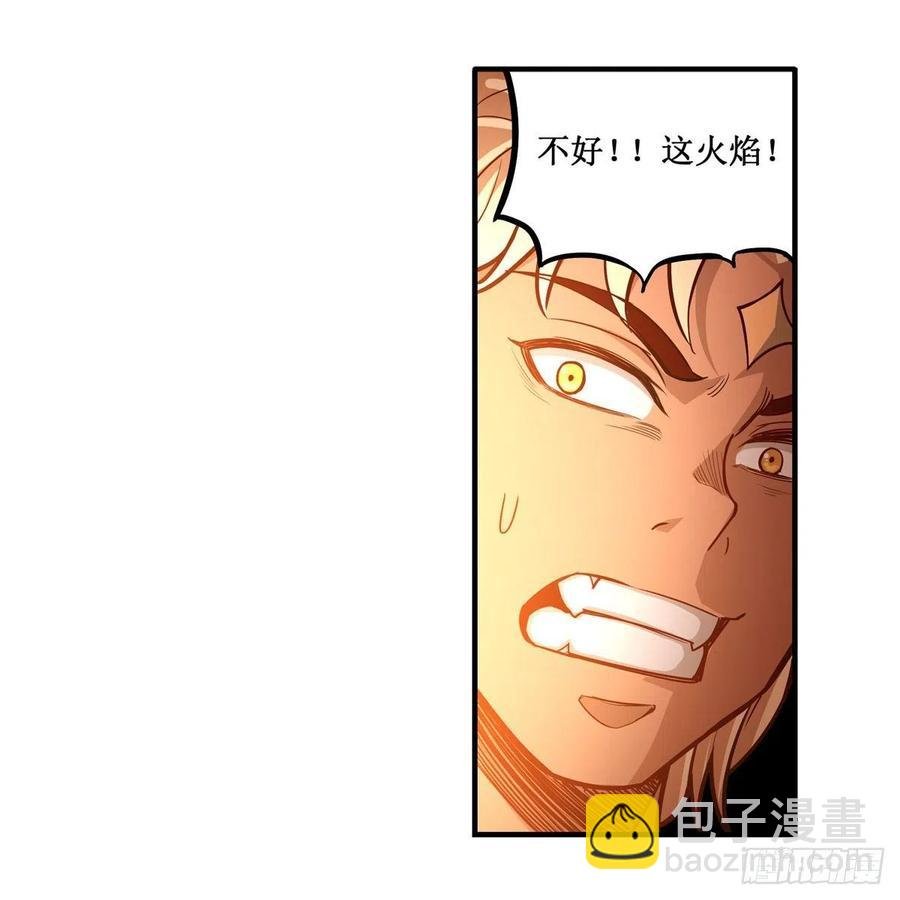 第204话 护身灵兽