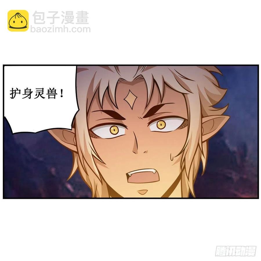 第204话 护身灵兽