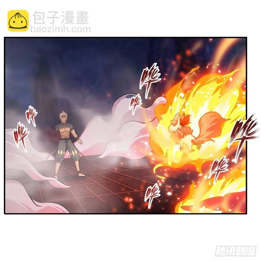 第204话 护身灵兽