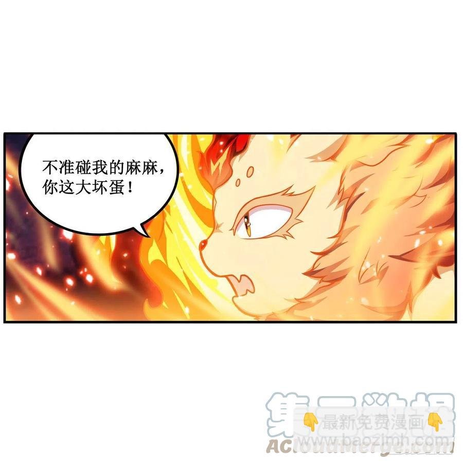 第204话 护身灵兽