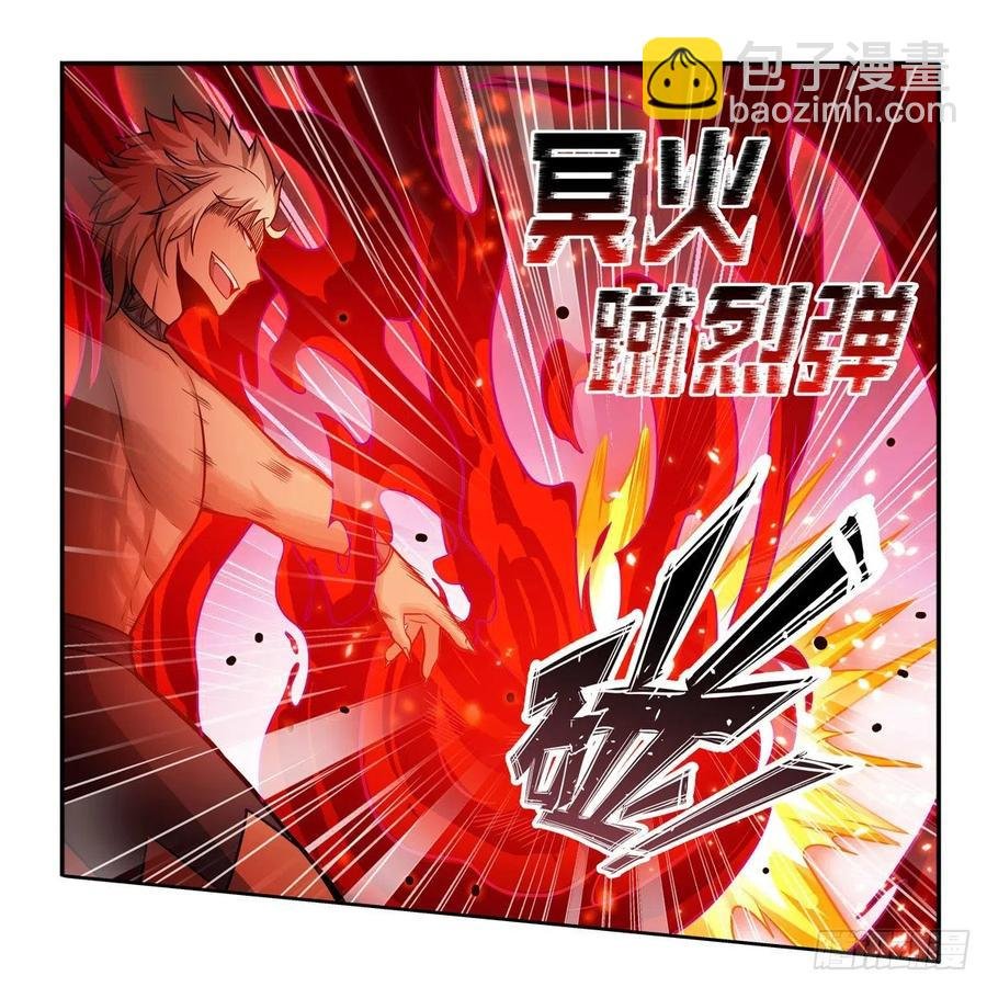 第204话 护身灵兽