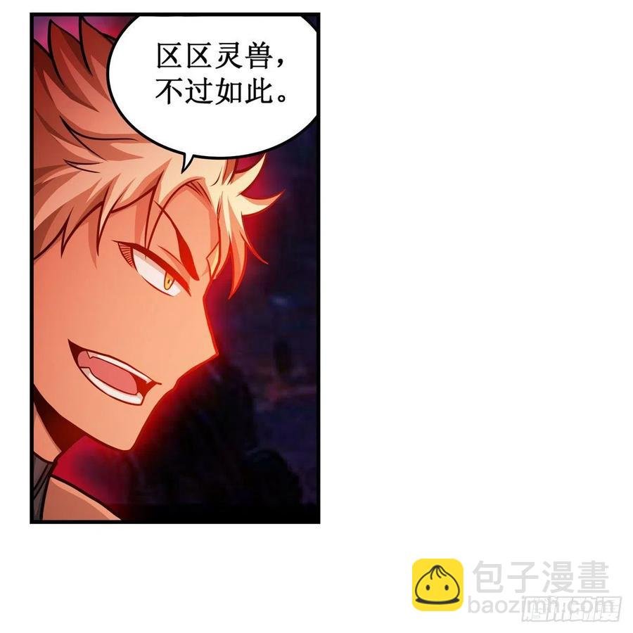 第204话 护身灵兽