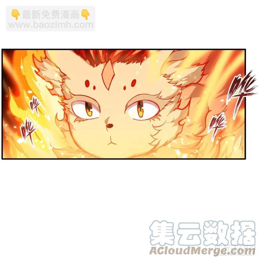 第204话 护身灵兽