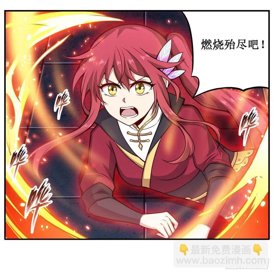 第204话 护身灵兽