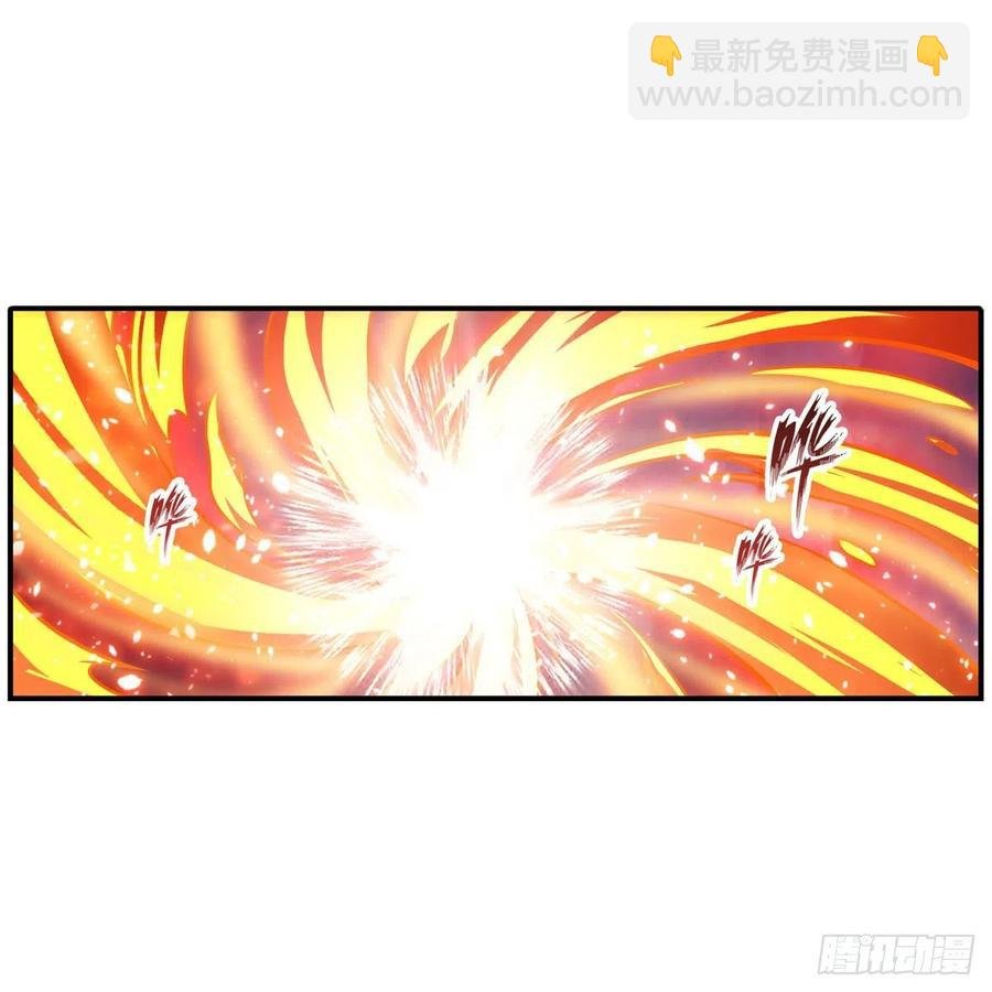 第204话 护身灵兽