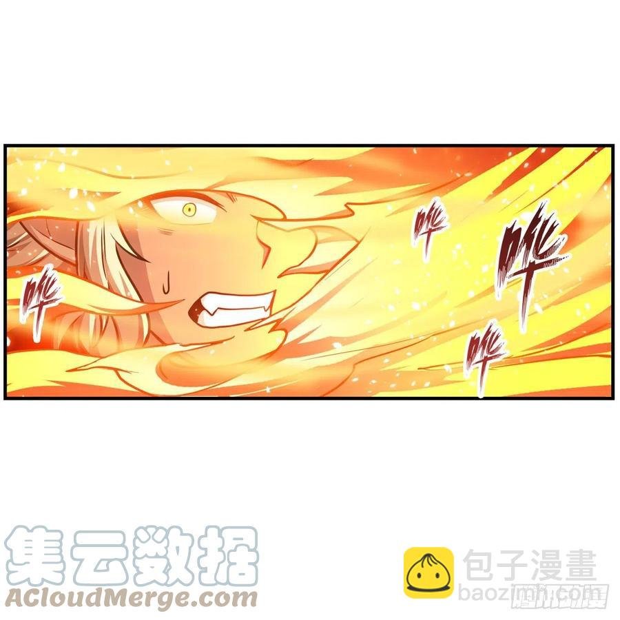 第204话 护身灵兽