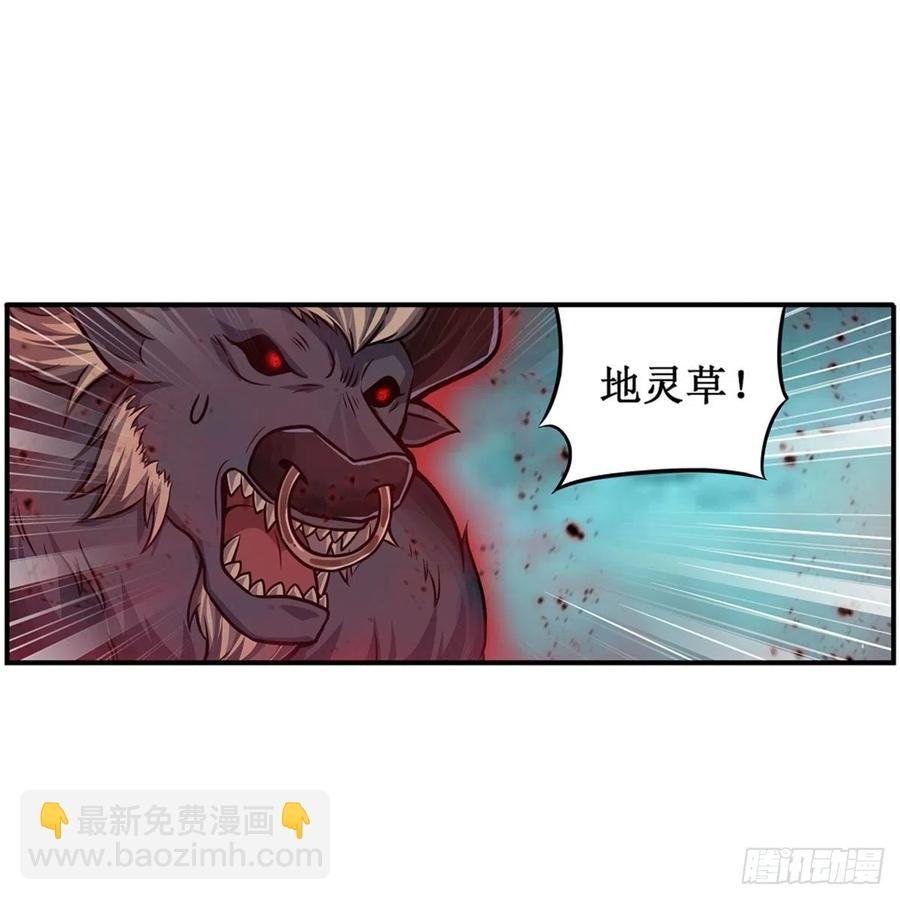 第213话 地灵草