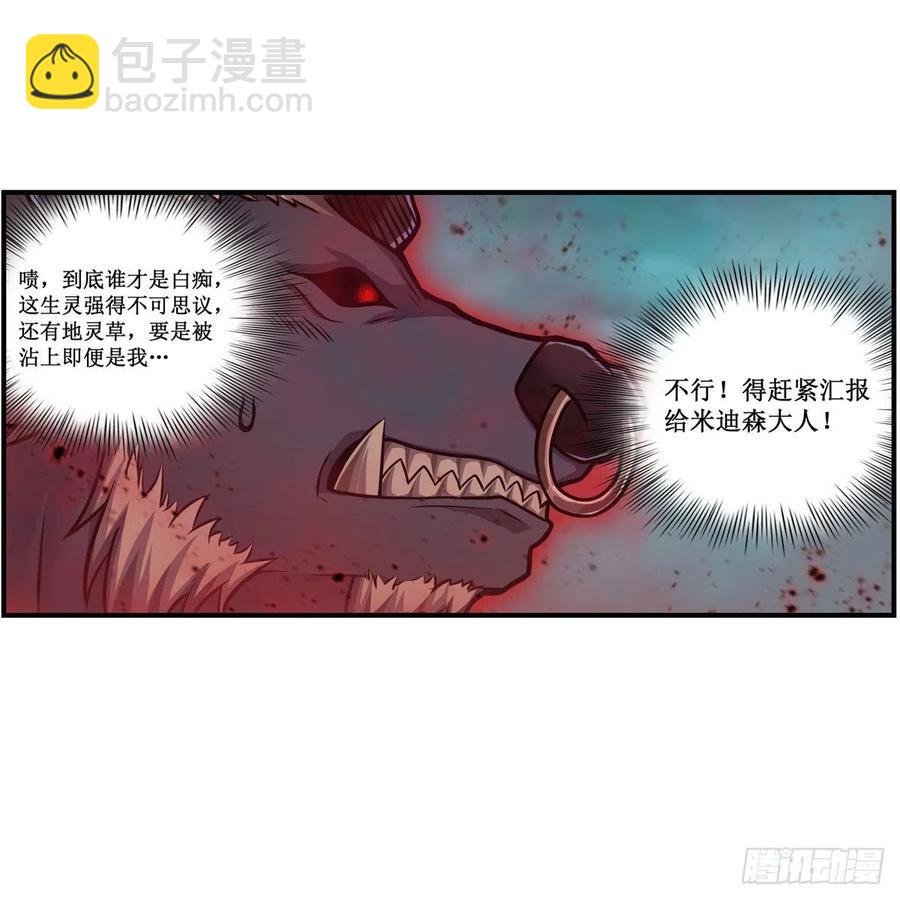 第213话 地灵草