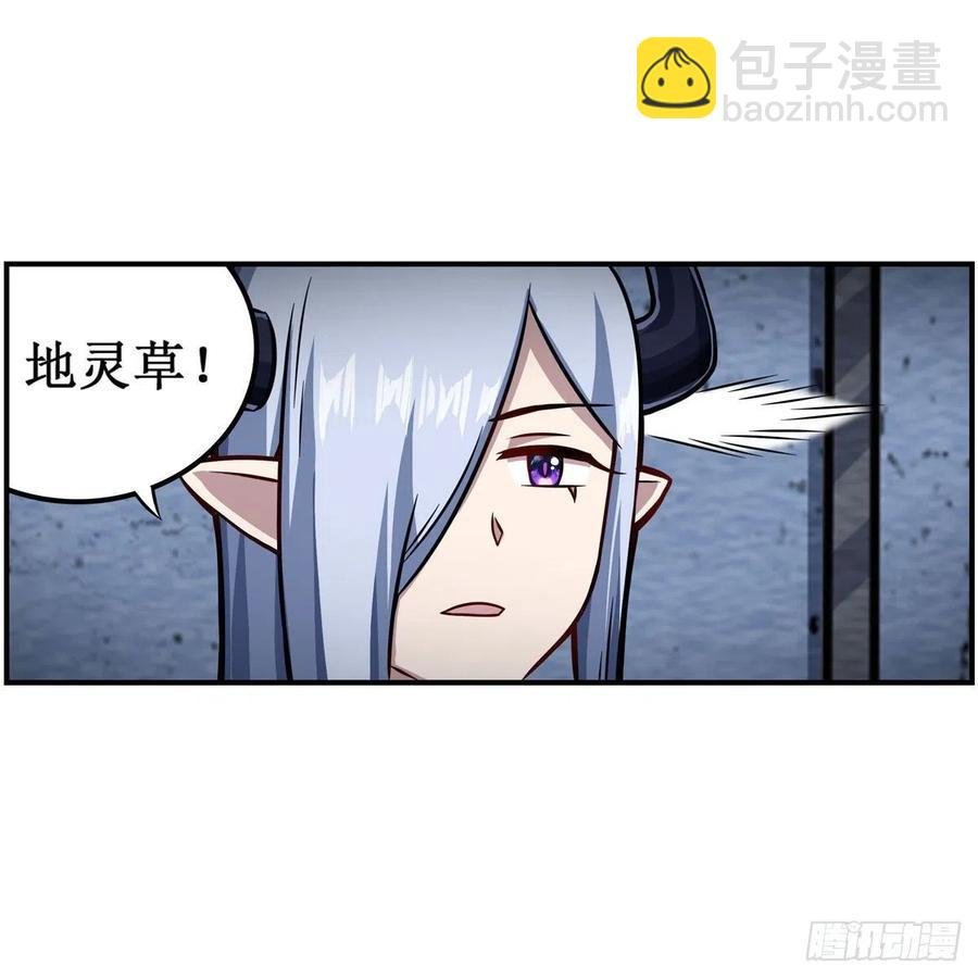 第213话 地灵草