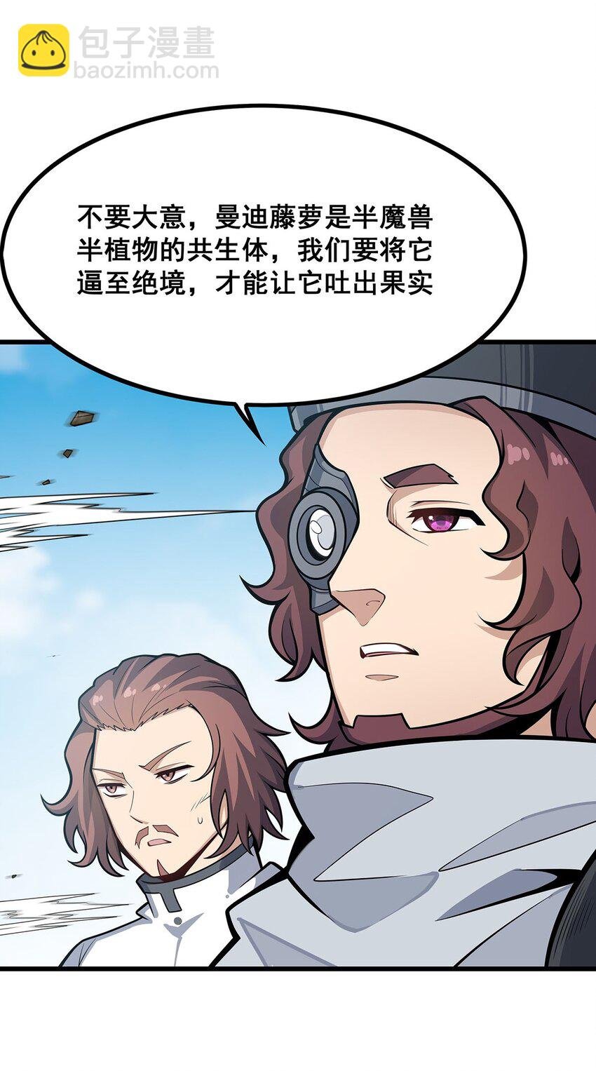 420 曼迪藤萝花