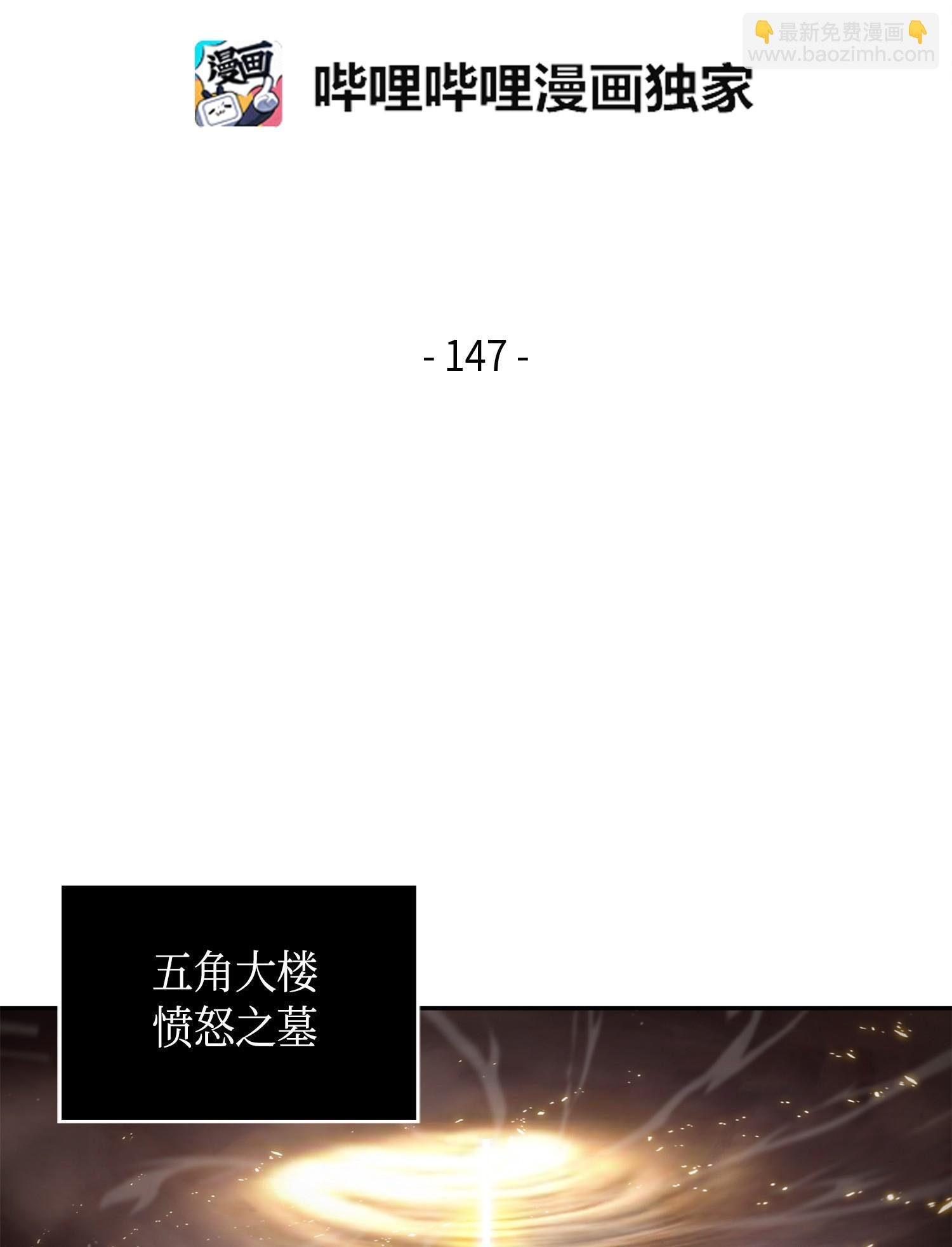 147 伪装