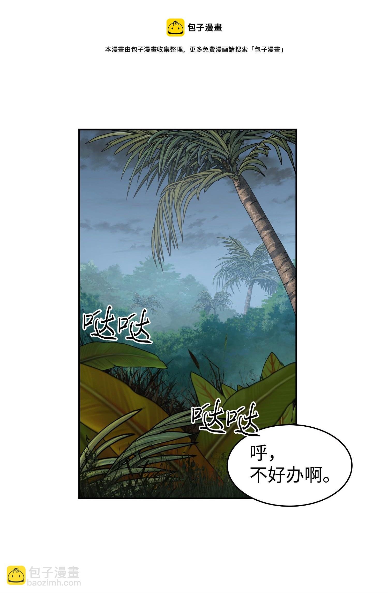244 乌鸦