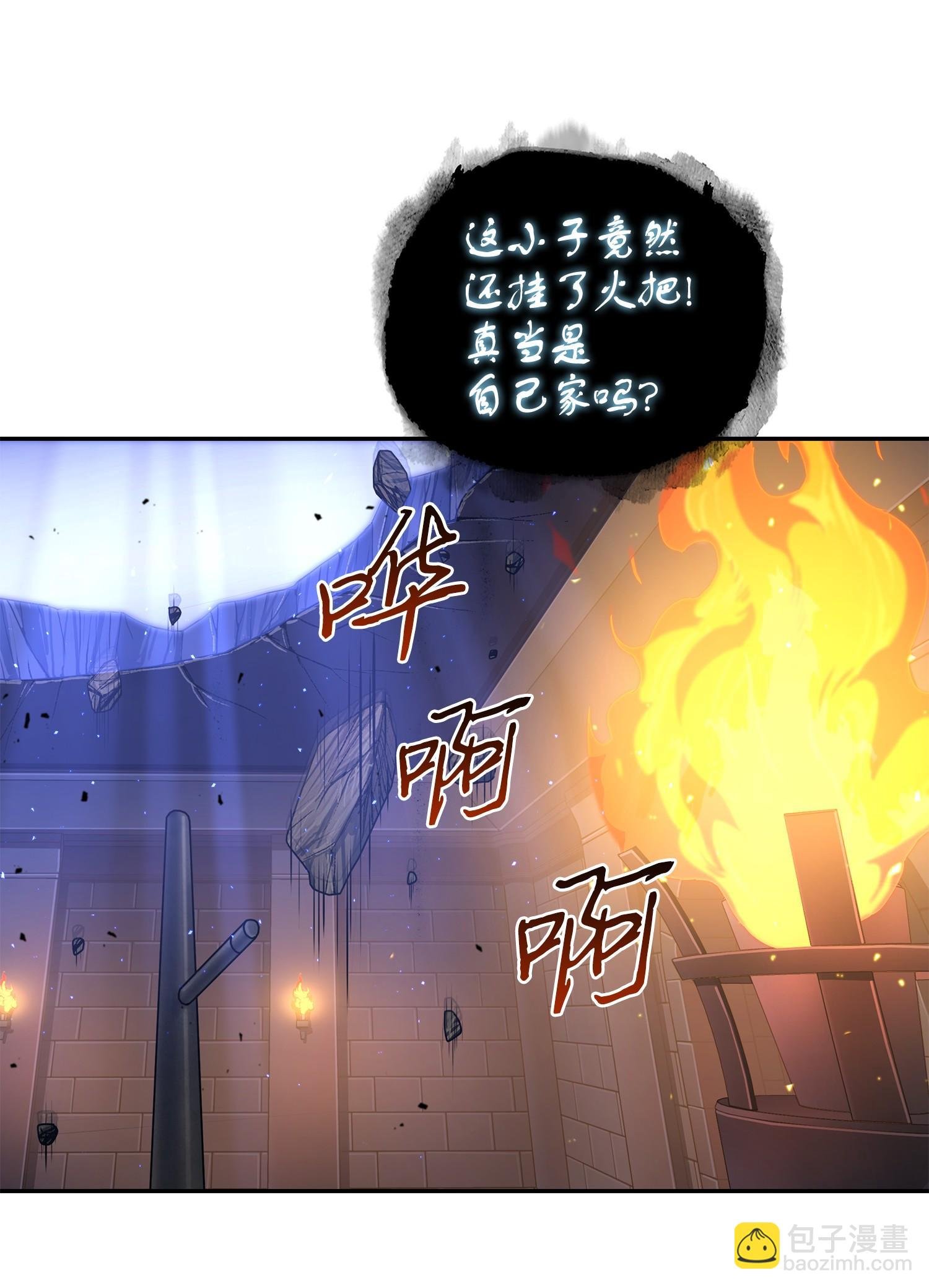 247 乌鸦的目的
