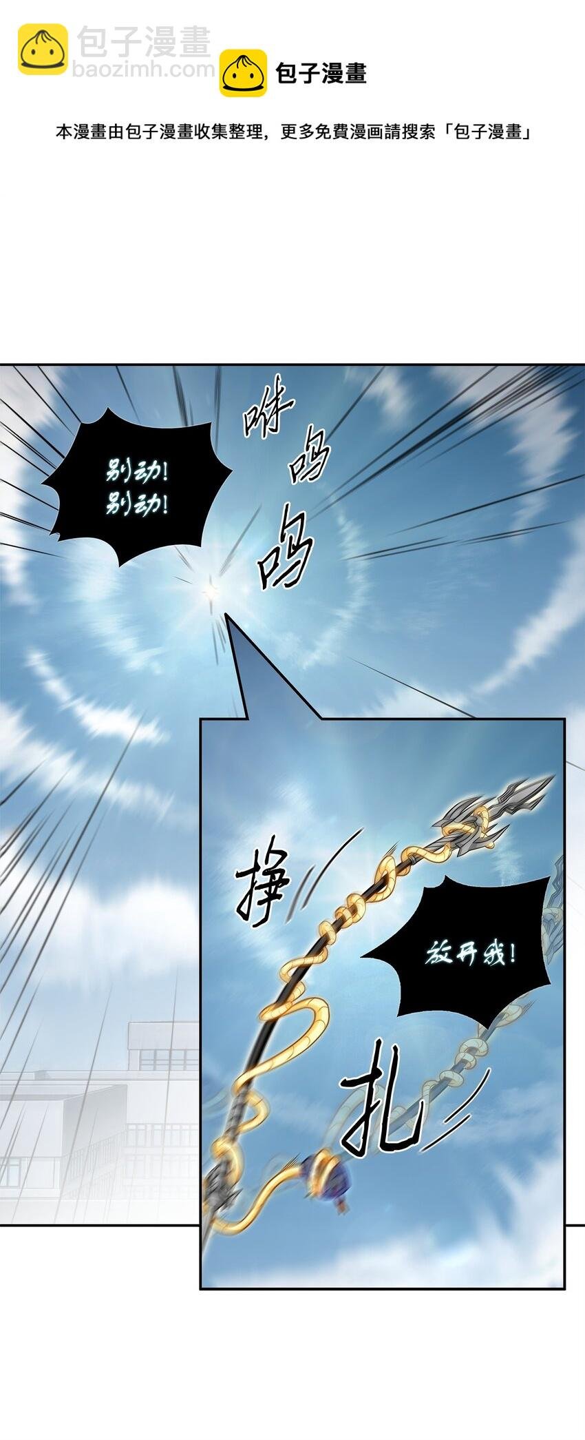 300 服从训练