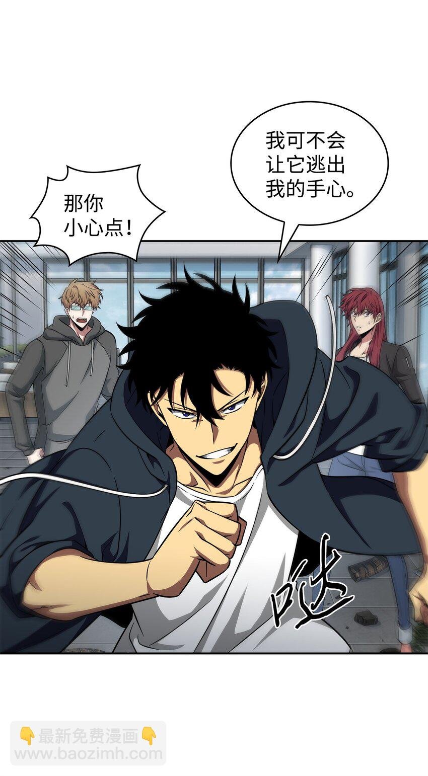 300 服从训练
