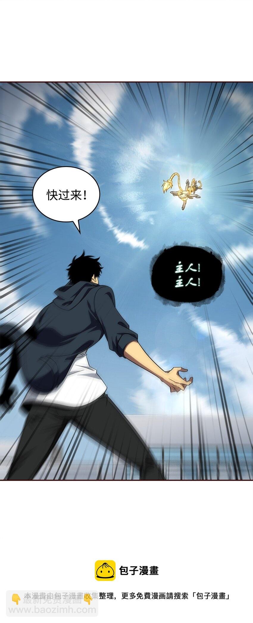 300 服从训练