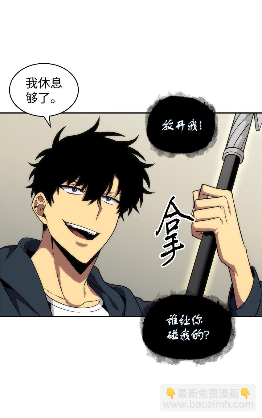 300 服从训练