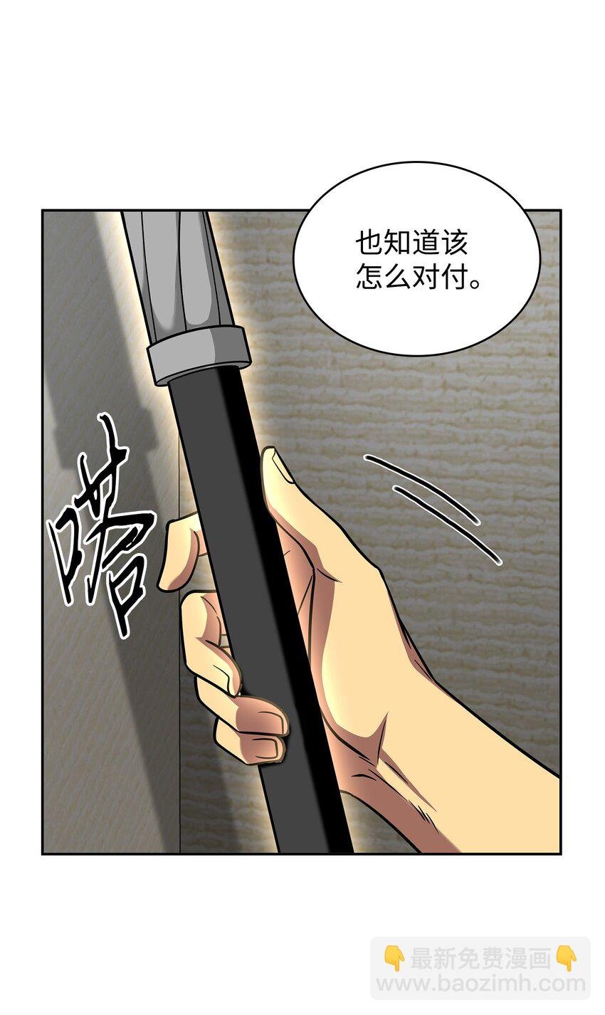 300 服从训练